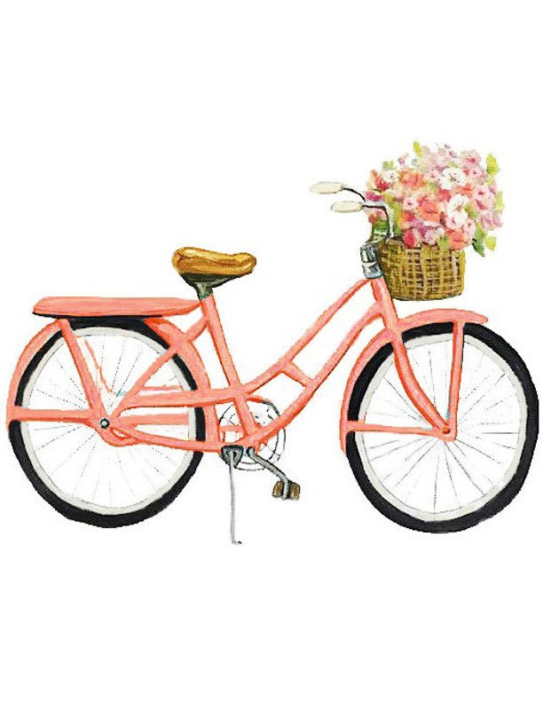 4074 Pink Bike