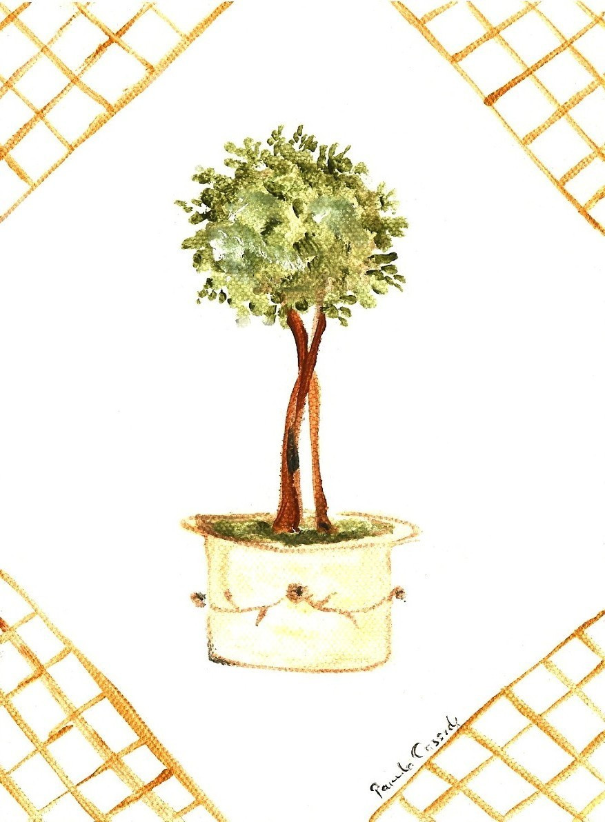 60441 Boxwood