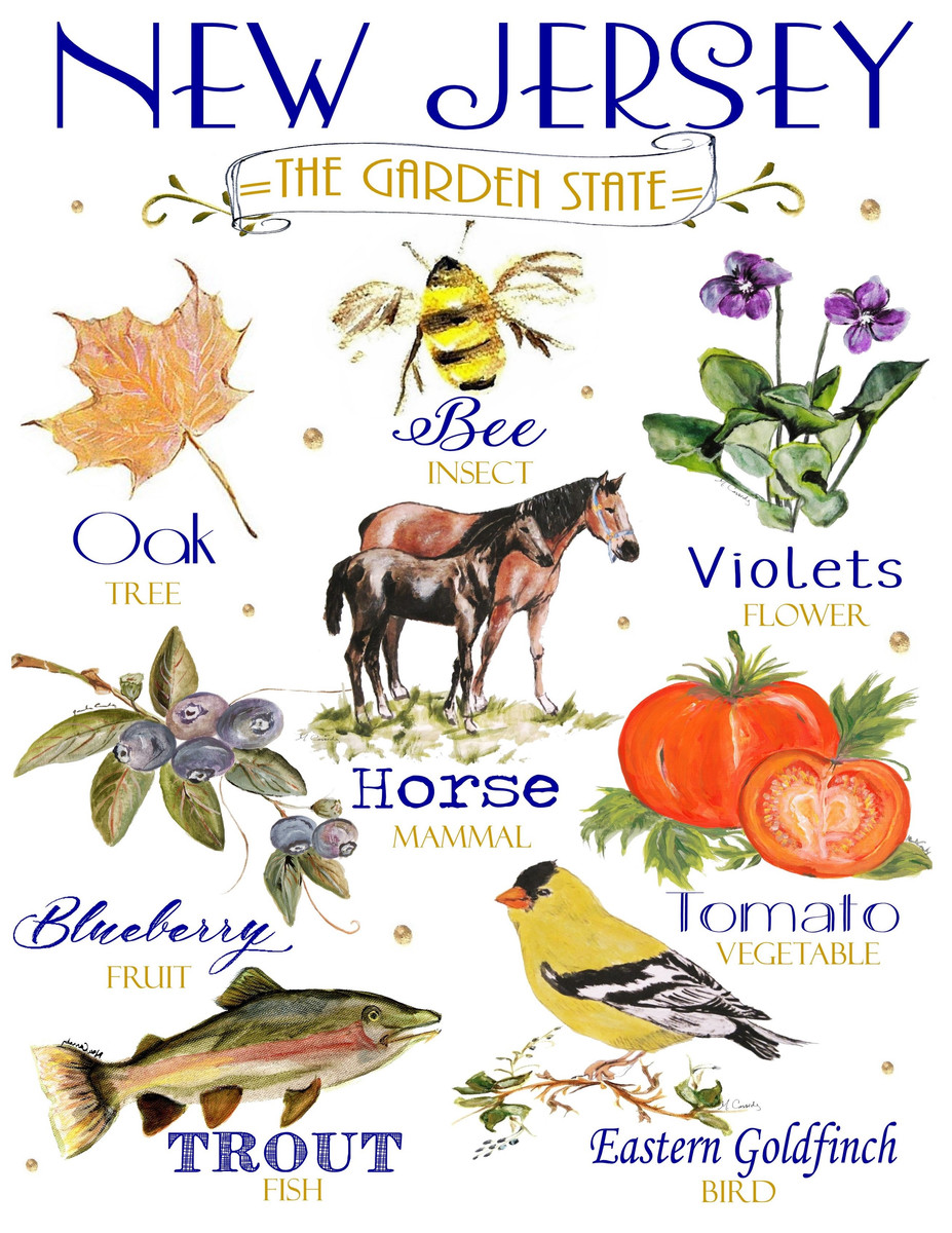 0144 NJ State Icons Design