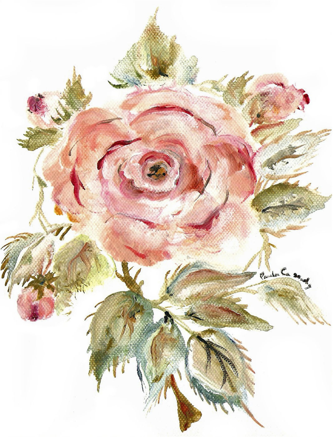 90382 Rosa Rugosa