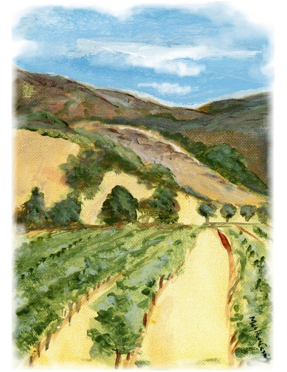 60391 Vineyard