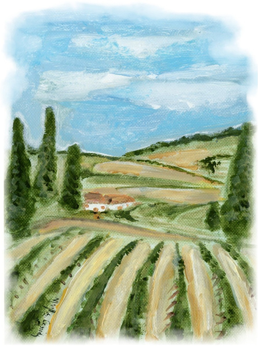 60392 Vineyard